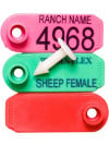 Perma-Flex Sheep Tag Female w/ stud - Blank Examples