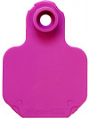 Perma-Flex Small Cattle Ear Tag - Blank