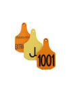 Perma-Flex X-Large Cattle Ear Tag - Custom Examples