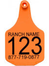 Perma-Flex X-Large Cattle Ear Tag - Custom