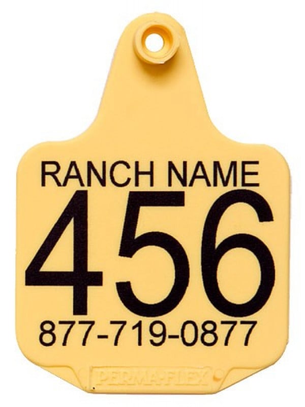 Perma-Flex Large Cattle Ear Tag - Custom