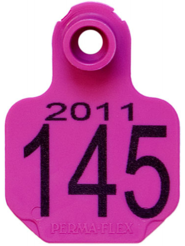Perma-Flex Small Cattle Ear Tag - Custom Example